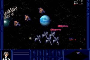 Dark Solid 13