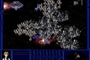 Dark Solid 8