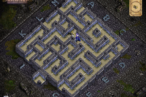Das verrückte Labyrinth 5