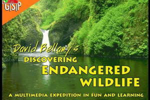 David Bellamy's Endangered Wildlife 0