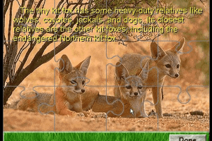 David Bellamy's Endangered Wildlife 14