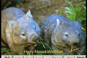 David Bellamy's Endangered Wildlife 5