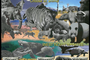 David Bellamy's Endangered Wildlife 8