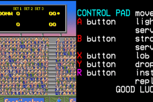 David Crane's Amazing Tennis 3