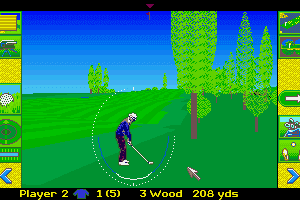 David Leadbetter's Greens abandonware