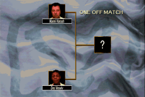 Davis Cup Complete Tennis 2