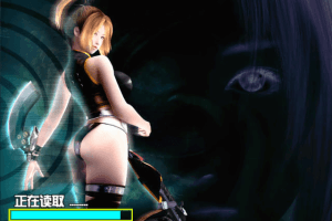 DBVR 14