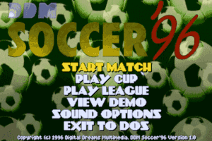 DDM Soccer 96 abandonware