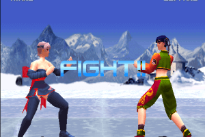 Dead or Alive 13