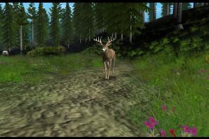 Deer Drive 11