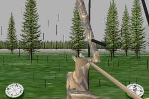 Deer Hunt 3D 7