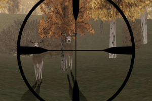 Deer Hunter 4: World-Class Record Bucks abandonware