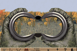 Deer Hunter 0