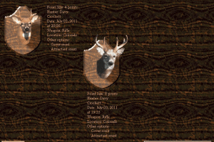 Deer Hunter abandonware