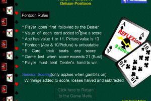 Deluxe Pontoon 8