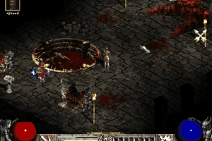 Diablo II 14