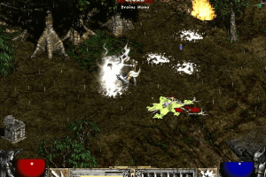 Diablo II 15