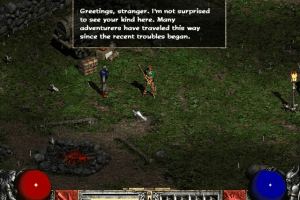 Diablo II 35