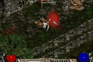 Diablo II 42