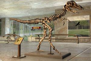 Die Knickerbocker-Bande 2: Verschwunden im Saurierland 5