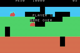 Dig Dug 10