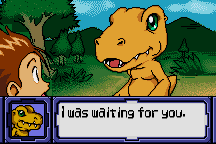 Digimon Anode & Cathode Tamer (Veedramon Version) 7