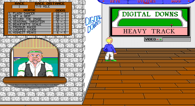 Digital Downs abandonware