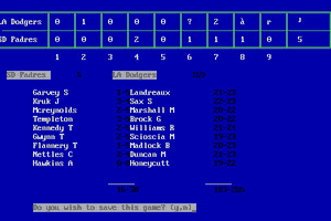 Digital League Baseball 13