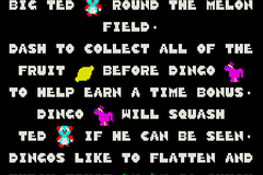 Dingo 2