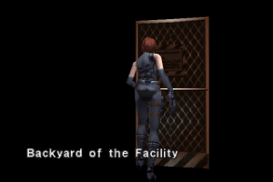 Dino Crisis 6