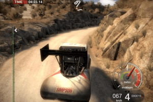 DiRT 29