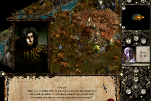 Disciples II: Rise of the Elves 6