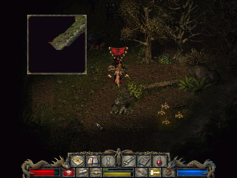 divine divinity software or direct3d divine divinity software or direct3d