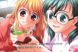 Do S na Onee-san wa Suki Desu ka? 8