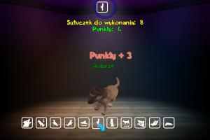 Doggies 5