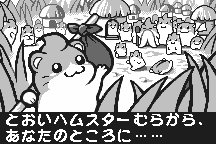 Dokodemo Hamster 9