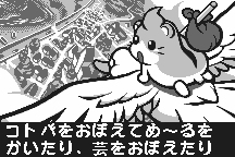 Dokodemo Hamster 10