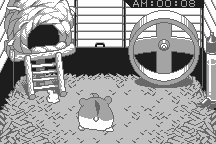 Dokodemo Hamster 11