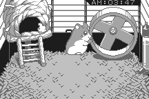 Dokodemo Hamster 7