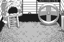 Dokodemo Hamster 8