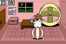 Dokodemo Hamster 3: O-Dekake Safuran 20