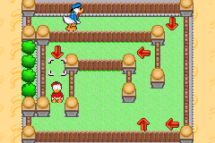 Donald Duck's Quest abandonware
