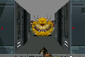 Doom RPG 9