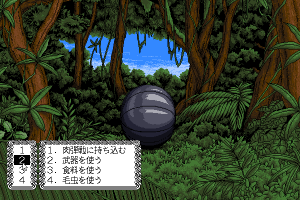 DOR: Special Edition '93 abandonware