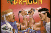 Double Dragon EX 0
