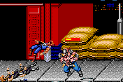 Double Dragon EX 7