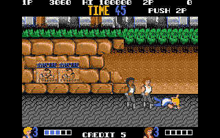 Double Dragon abandonware