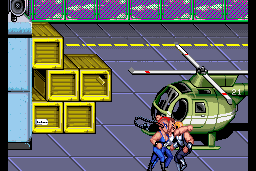 Double Dragon II: The Revenge 5