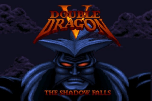 Double Dragon V: The Shadow Falls 0