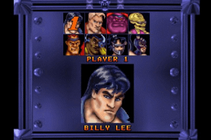 Double Dragon V: The Shadow Falls 2